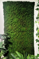 136 Panel od veštačke mahovine